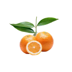 Vitamin C Rich Oranges Png 06112024 PNG Image