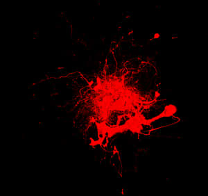 Vivid Red Splatteron Black Background PNG image with transparent background