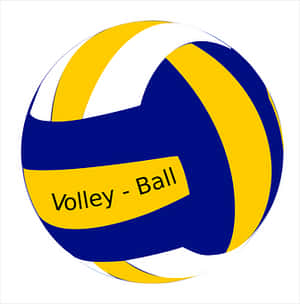 Volleyball Graphic Illustration PNG image with transparent background