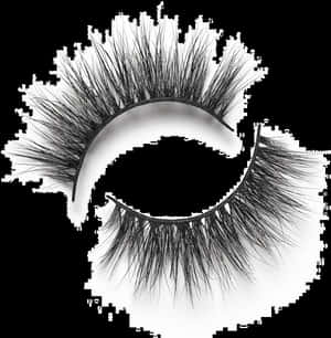 Lilly Lashes Miami Light, HD Png Download PNG image with transparent background