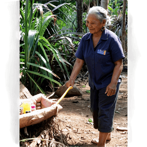Volunteer Impact PNG ffd PNG