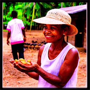 Volunteer Outreach PNG 4 PNG with transparent background