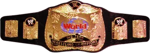 W W E World Tag Team Championship Belt PNG Image