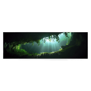 Waitomo Glowworm Caves PNG wuy PNG