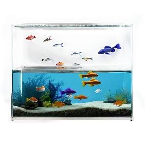 Wall Mounted Fish Tank Png Hwe PNG Image