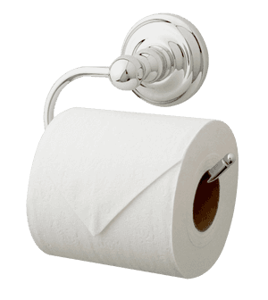 Wall Mounted Toilet Paper Holder PNG image with transparent background