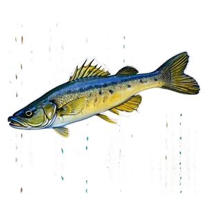 Walleye Swimming Png Frt78 PNG Image