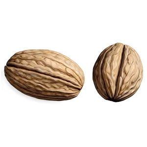 Walnut Drawing Png Gdv93 PNG Image