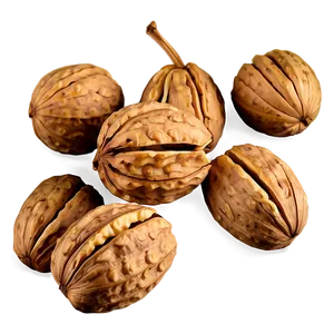 Walnut Drawing Png Wdu26 PNG Image