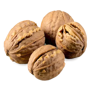 Walnut Kernel Png Gpm PNG Image