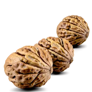 Walnut On White Background Png Hlo71 PNG Image