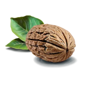 Walnut Piece Png 06122024 PNG Image