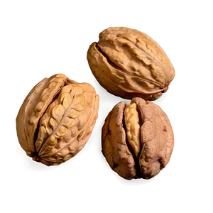 Walnut Png 06122024 PNG Image