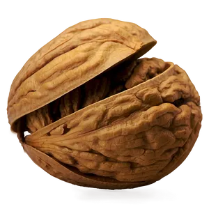 Walnut Png Mvj49 PNG Image