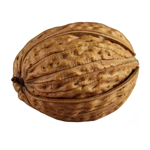 Walnut Png Nya85 PNG Image