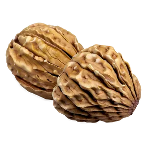 Walnut Shell Png 06122024 PNG Image