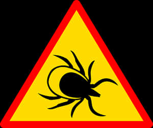 Warning Sign Black Spider Yellow Background PNG image with transparent background