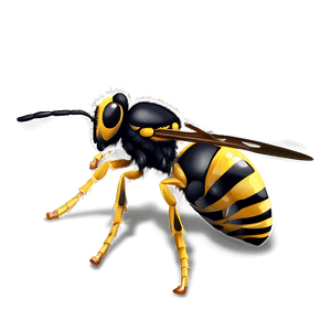 Wasp Illustration PNG 97 PNG