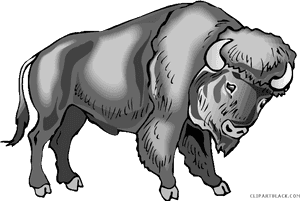 Water Buffalo Clip Art Portable Network Graphics Image - Clipart Buffalo Transparent Background, HD Png Download PNG image with transparent background
