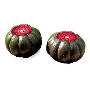 Water Chestnut PNG 06122024 PNG with transparent background