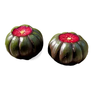 Water Chestnut Png 06122024 PNG Image