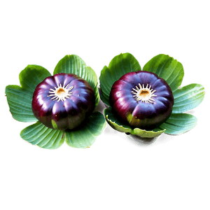 Water Chestnut PNG 06122024 PNG with transparent background