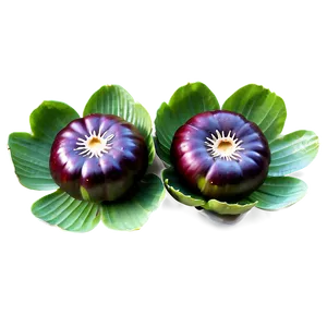 Water Chestnut Png 06122024 PNG Image