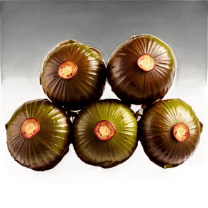 Water Chestnut PNG 06122024 PNG with transparent background