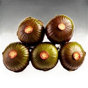 Water Chestnut Png 06122024 PNG Image