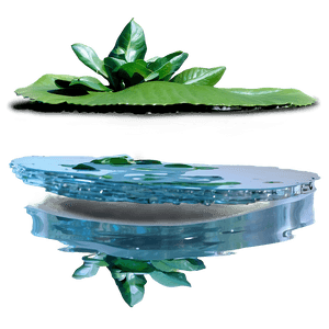 Water Reflection PNG 06112024 PNG