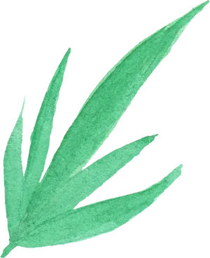 Watercolor Aloe Vera Illustration PNG Image