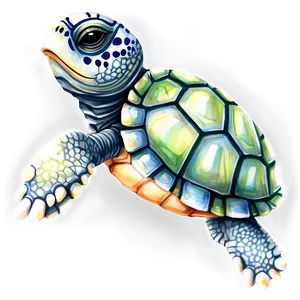 Watercolor Baby Turtle Png 48 PNG Image