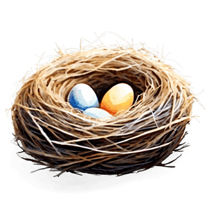 Watercolor Bird Nest PNG cmg PNG