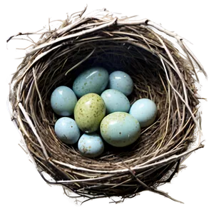 Watercolor Bird Nest Png Xfe72 PNG Image