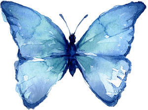 Watercolor Blue Butterfly Artwork PNG image with transparent background