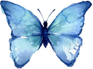 Watercolor Blue Butterfly Artwork PNG Image