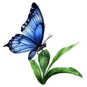 Watercolor Blue Butterfly PNG 05212024 PNG image with transparent background