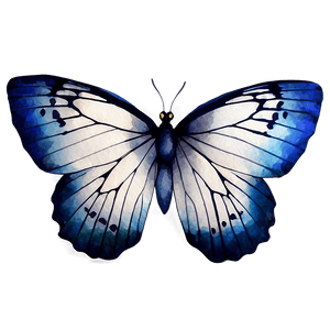 Watercolor Blue Butterfly PNG 05212024 PNG image with transparent background