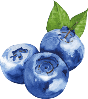 Blueberry - Clipart Watercolor Blueberries, HD Png Download PNG image with transparent background