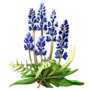 Watercolor Bluebonnet Field Png Ghk78 PNG Image