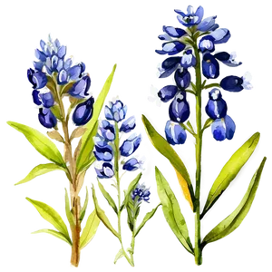 Watercolor Bluebonnet Field Png Qac1 PNG Image