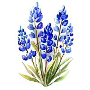 Watercolor Bluebonnet Field Png Qel52 PNG Image