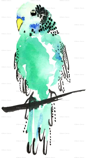 Watercolor Budgie Artwork PNG Image