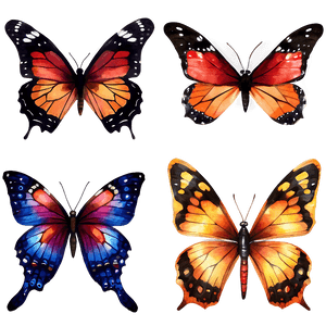 Watercolor Butterflies PNG whp PNG image with transparent background