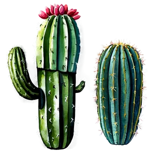 Watercolor Cactus Art Png 06282024 PNG Image