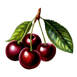 Watercolor Cherries PNG 26 PNG with transparent background