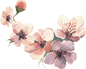 Watercolor Painting Water Color Svg Library Library - Flower Water Paint Png, Transparent Png PNG image with transparent background