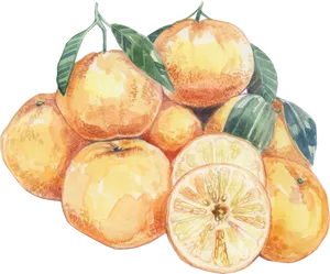 Watercolor Citrus Fruits Artwork PNG Image