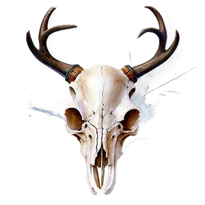 Watercolor Deer Skull Png 06132024 PNG Image