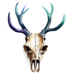 Watercolor Deer Skull Png Kjh74 PNG Image